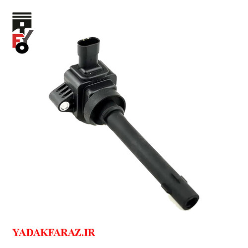 کوئل دانگ فنگ دیگنیتی-1