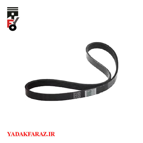 تسمه دینام دانگ فنگ دیگنیتی